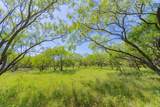 TBD County Road 180 Covered Meadows Ranch Rd - Photo 6