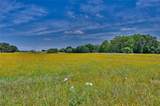 2165 County Road 250 - Photo 3