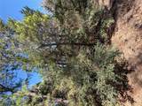 Lot 320 Keneka Ln - Photo 4