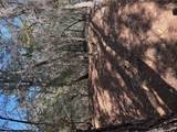 Lot 320 Keneka Ln - Photo 7