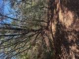 Lot 320 Keneka Ln - Photo 9