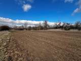 TBD County Road 196 - Photo 13