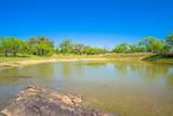 5230 County Road 409 - Photo 3
