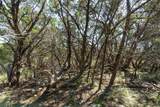 704 Palos Verdes Dr - Photo 17