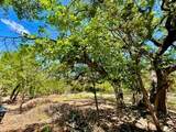21422 Patton Ave - Photo 8