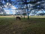 222 Powell Ln - Photo 18