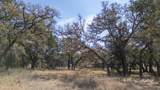 TBD Blackbuck Ridge Dr - Photo 11