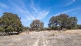 TBD Blackbuck Ridge Dr - Photo 16