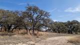 TBD Blackbuck Ridge Dr - Photo 18