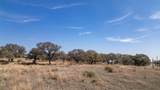 TBD Blackbuck Ridge Dr - Photo 20