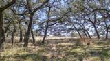 TBD Blackbuck Ridge Dr - Photo 8