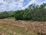 000 Fm 466 St - Photo 1
