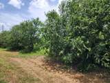 000 Fm 466 St - Photo 5
