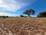 TBD Terra Vista Ct - Photo 13