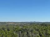 25723 Hamilton Pool Rd - Photo 1