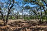 25723 Hamilton Pool Rd - Photo 10