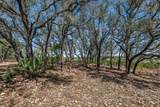 25723 Hamilton Pool Rd - Photo 11
