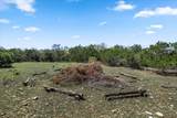 25723 Hamilton Pool Rd - Photo 13