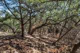 25723 Hamilton Pool Rd - Photo 14