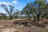 25723 Hamilton Pool Rd - Photo 16