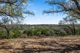 25723 Hamilton Pool Rd - Photo 2