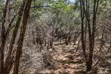 25723 Hamilton Pool Rd - Photo 23