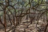 25723 Hamilton Pool Rd - Photo 24