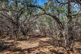 25723 Hamilton Pool Rd - Photo 25