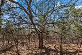 25723 Hamilton Pool Rd - Photo 3