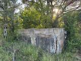 25723 Hamilton Pool Rd - Photo 8