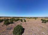 LOTS 119 & 120 Shin Oak Dr - Photo 4