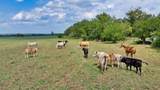 2700 County Road 245 - Photo 7