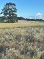 555 #C Paint Creek Rd - Photo 8