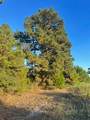 555 #C Paint Creek Rd - Photo 9