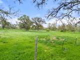 274 Old Austin Trl - Photo 29