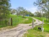 274 Old Austin Trl - Photo 8