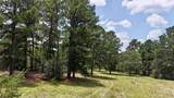 TBD Sandy Ln - Photo 12