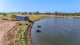 TBD County Road 326 (Tract 7) - Photo 4