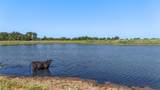 TBD County Road 326 (Tract 7) - Photo 7