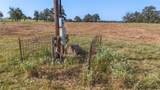 TBD County Road 326 (Tract 7) - Photo 9