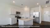 1181 Celosia Loop - Photo 2