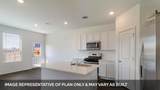 1181 Celosia Loop - Photo 3