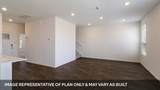 1181 Celosia Loop - Photo 4