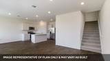 1181 Celosia Loop - Photo 5