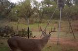 0 Rr 152 - Photo 4