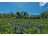 30201 Live Oak Trl - Photo 27