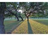 30201 Live Oak Trl - Photo 6