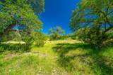 24601 Singleton Bend East Rd - Photo 33