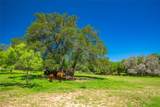 24601 Singleton Bend East Rd - Photo 37