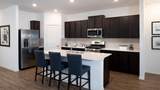 17812 Indigo Bunting Ln - Photo 9